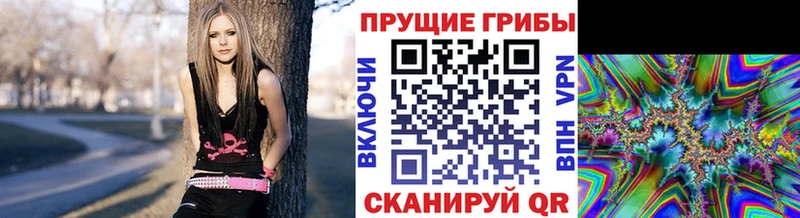 наркотики  Челябинск  мега маркетплейс  Псилоцибиновые грибы Magic Shrooms 
