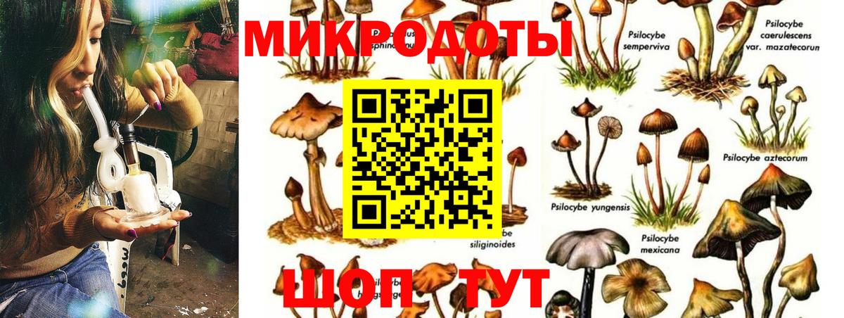 Псилоцибиновые грибы MAGIC MUSHROOMS Челябинск
