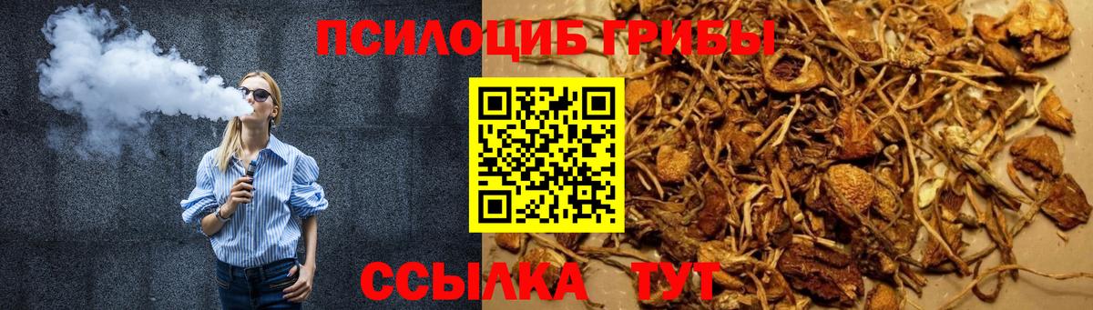 Псилоцибиновые грибы ЛСД  Псилоцибиновые грибы мицелий  Вход с VPN  Челябинск 
